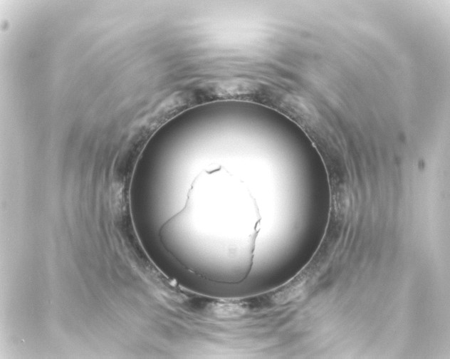 X0000088910327200706221936