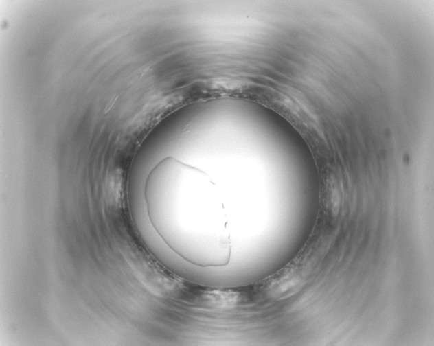 X0000088910328200706221936