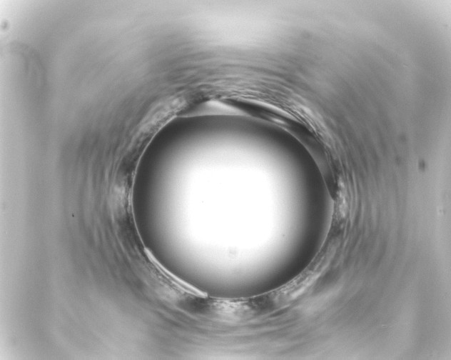 X0000088910333200706221936