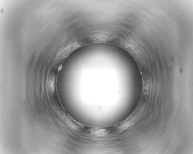 X0000088910334200706221936