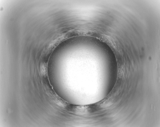 X0000088910335200706221936