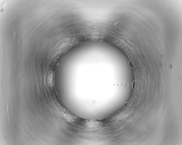 X0000088910336200706221935