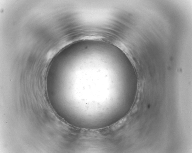 X0000088910337200706221935