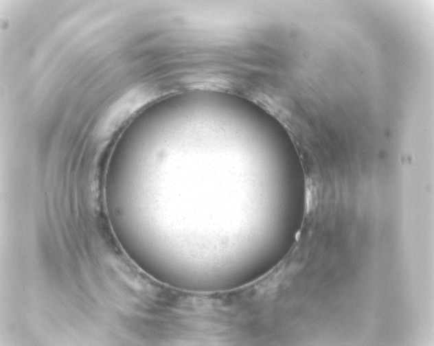 X0000088910339200706221935