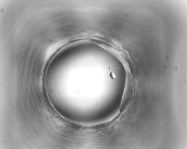 X0000088910340200706221935