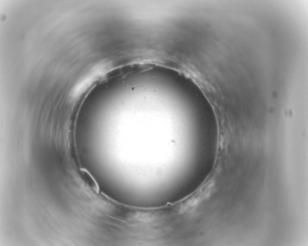 X0000088910341200706221935