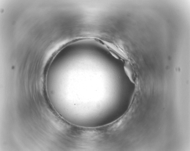 X0000088910342200706221935