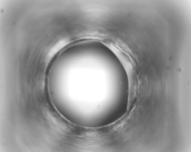 X0000088910344200706221935