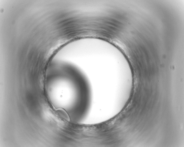 X0000088910345200706221935