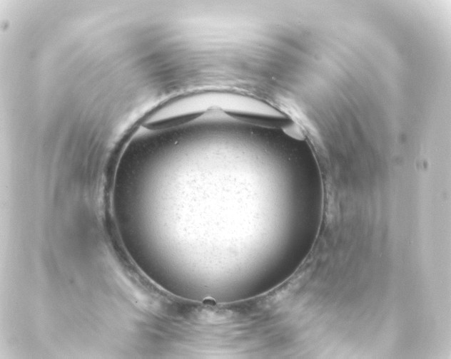 X0000088910346200706221935