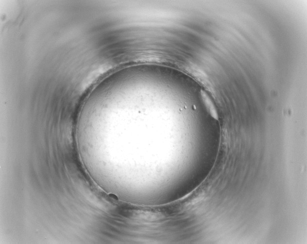 X0000088910347200706221935