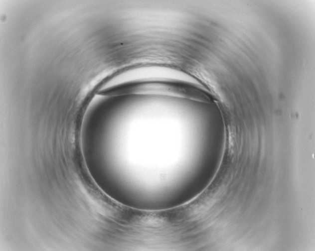 X0000088910348200706221935