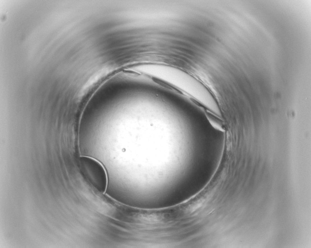 X0000088910349200706221935