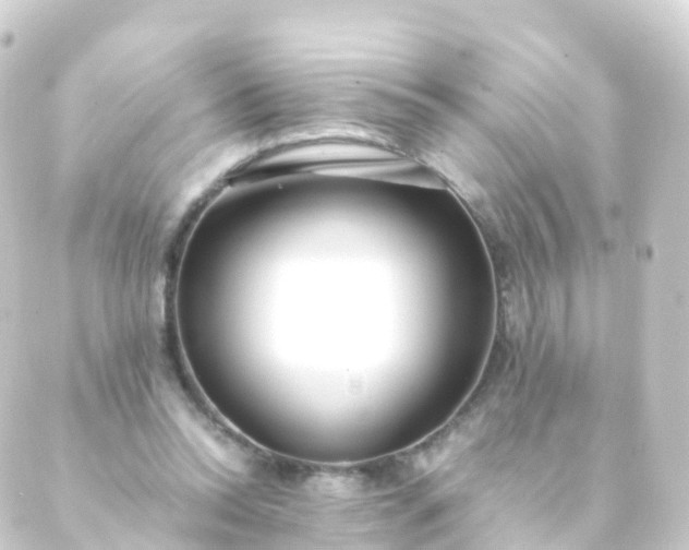 X0000088910350200706221935