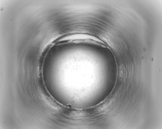 X0000088910351200706221935