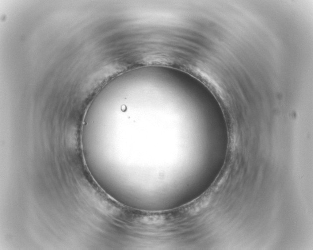 X0000088910353200706221935