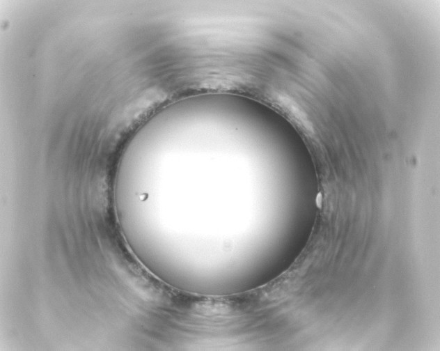 X0000088910354200706221935