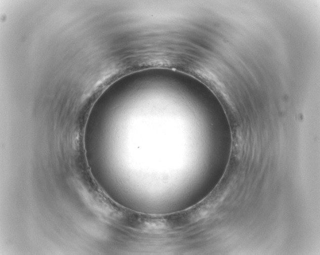 X0000088910355200706221935