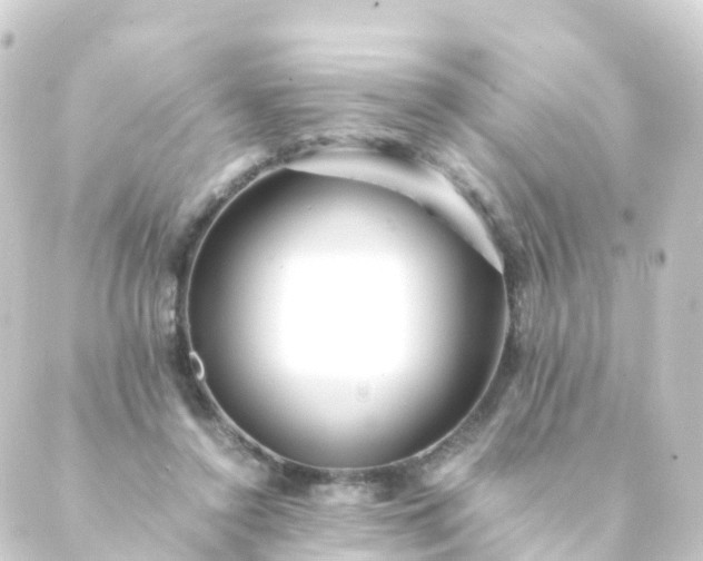 X0000088910356200706221935