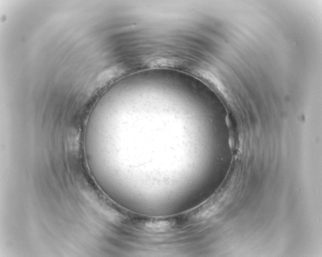 X0000088910357200706221935