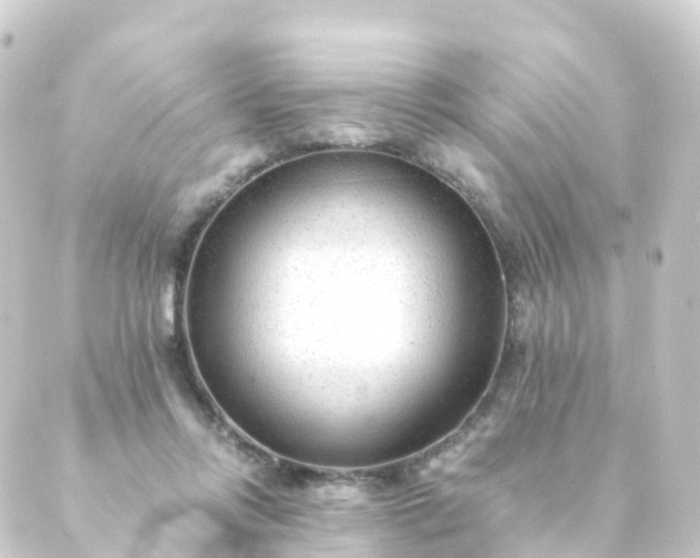 X0000088910358200706221935