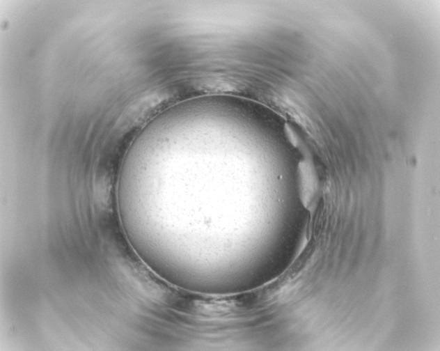 X0000088910359200706221935