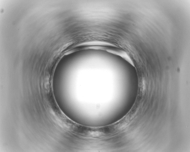 X0000088910360200706221935