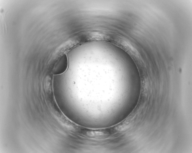 X0000088910361200706221935