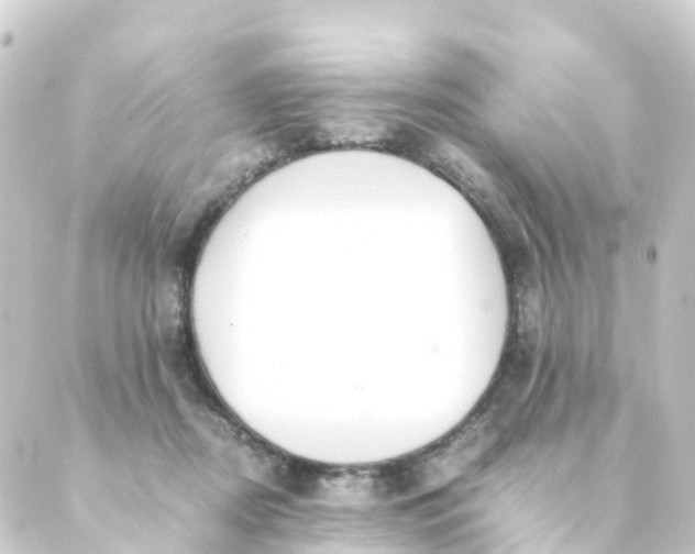 X0000088910362200706221935