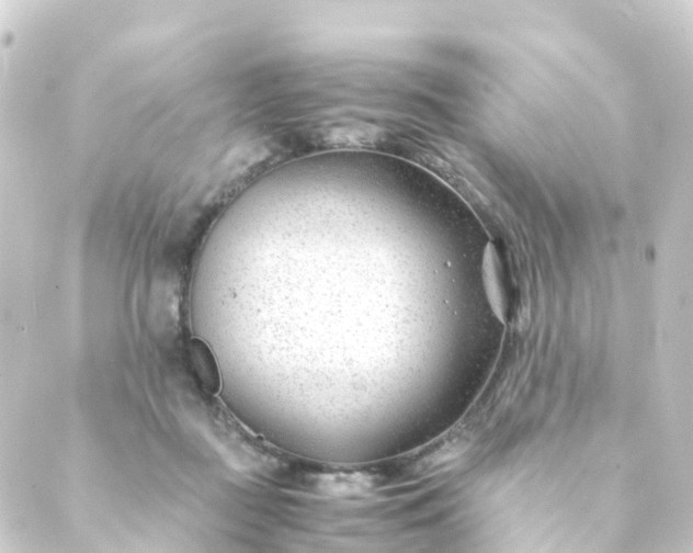 X0000088910363200706221935