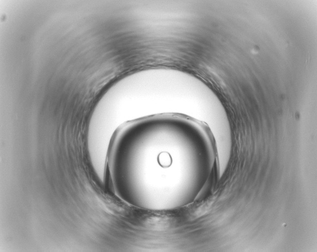 X0000088910364200706221935