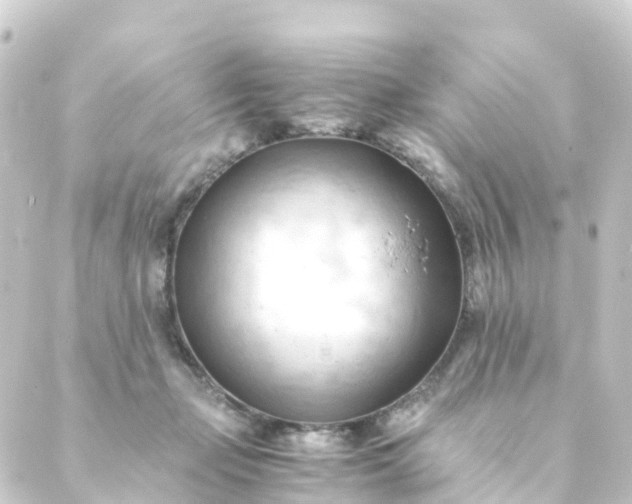 X0000088910365200706221935