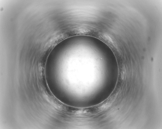 X0000088910366200706221935