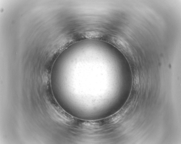 X0000088910367200706221935