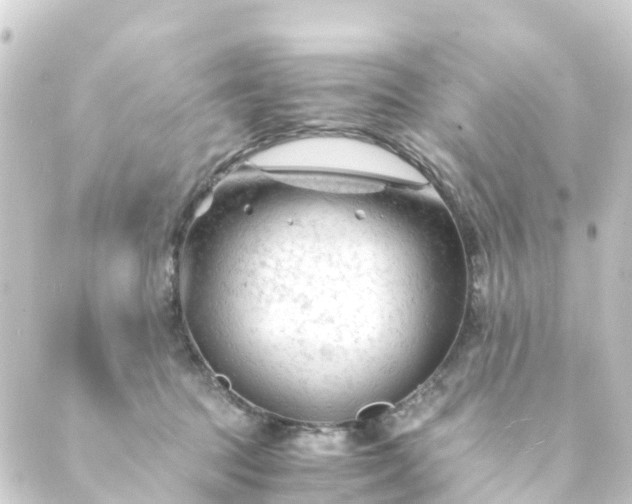 X0000088910369200706221935