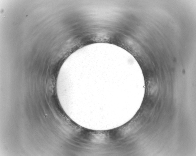 X0000088910370200706221935