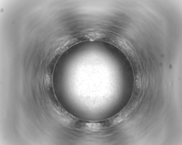 X0000088910371200706221935