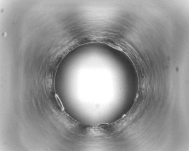 X0000088910372200706221935