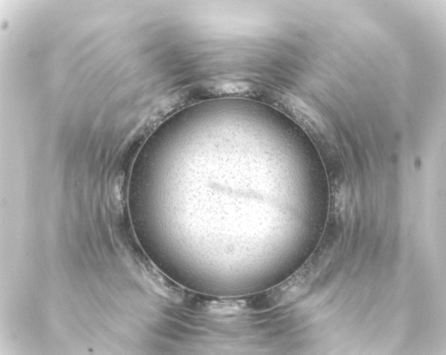 X0000088910373200706221935