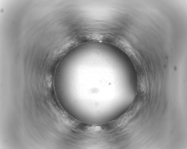 X0000088910374200706221935