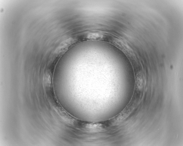 X0000088910375200706221935