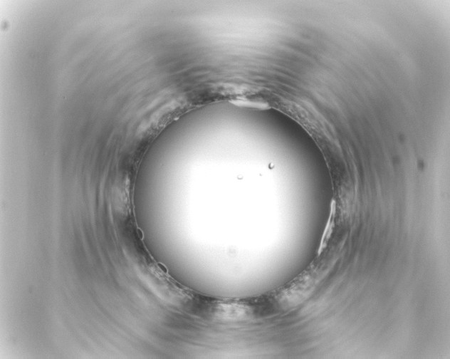 X0000088910376200706221935