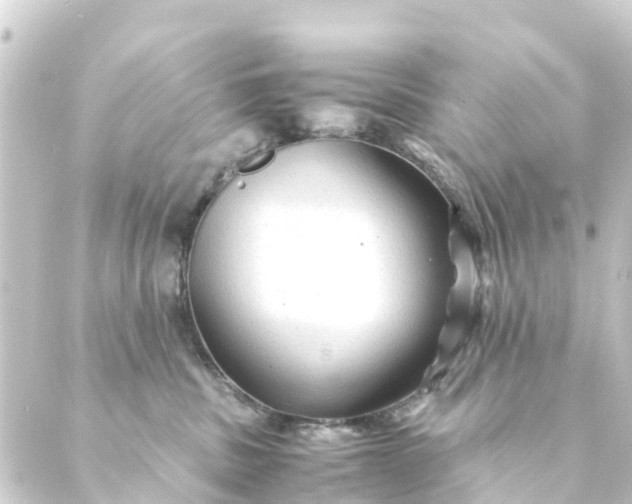 X0000088910379200706221935