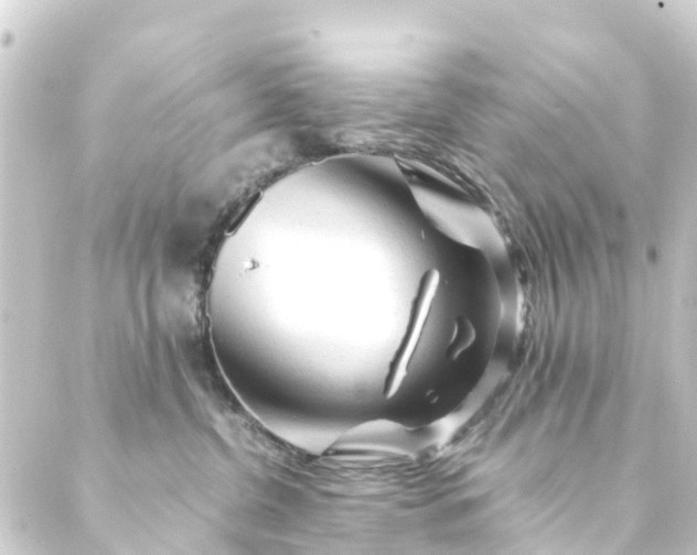 X0000088910380200706221935