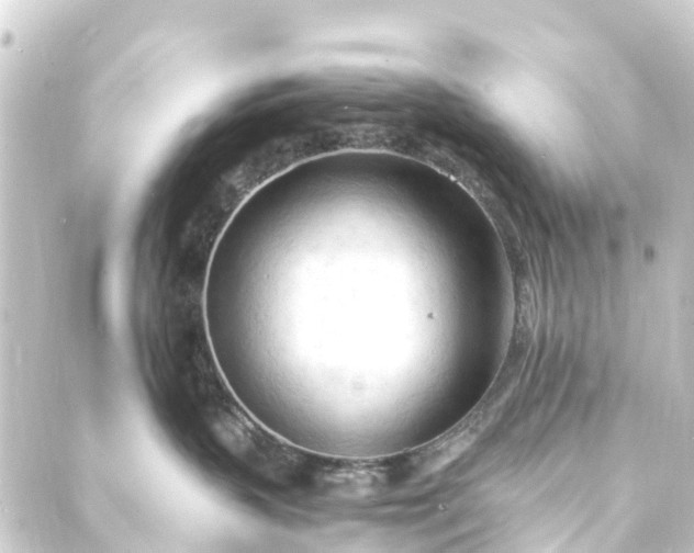 X0000088910383200706221935