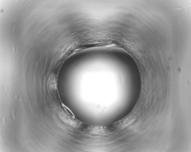 X0000088910384200706221935