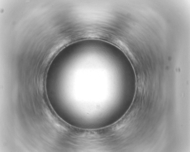 X0000088910386200706221935