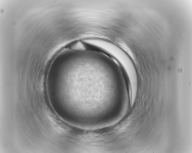 X0000088910387200706221935