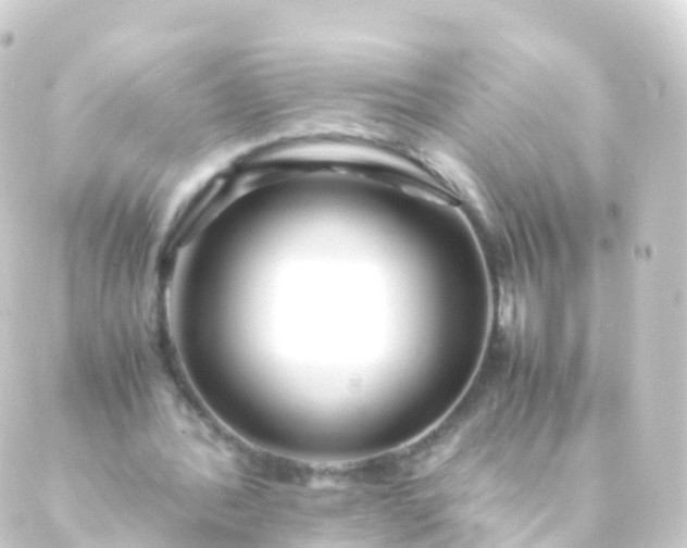 X0000088910388200706221935