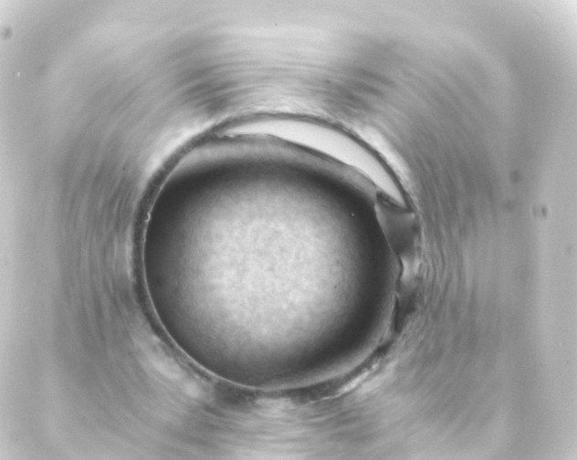 X0000088910391200706221935